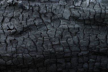 Kömürün yüzeyindeki detaylar.