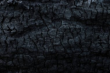 Kömürün yüzeyindeki detaylar.