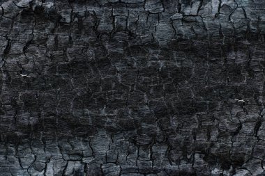 Kömürün yüzeyindeki detaylar.