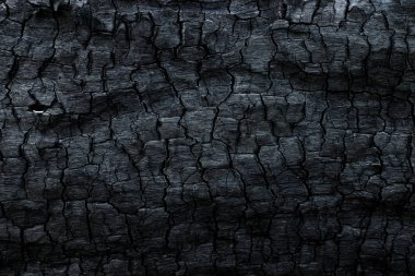 Kömürün yüzeyindeki detaylar.