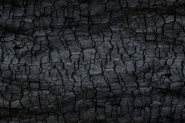 Kömürün yüzeyindeki detaylar.