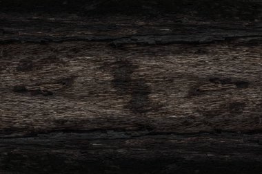 Kömürün yüzeyindeki detaylar.