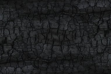 Kömürün yüzeyindeki detaylar.