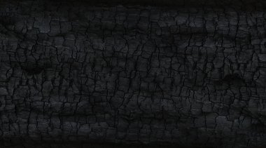 Kömürün yüzeyindeki detaylar.