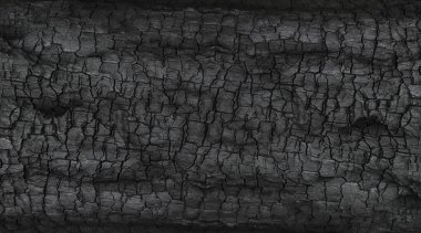 Kömürün yüzeyindeki detaylar.