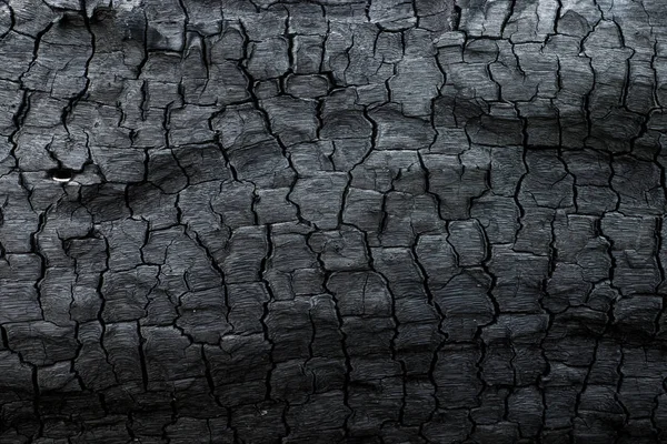 Detalles sobre la superficie del carbón vegetal. — Foto de Stock