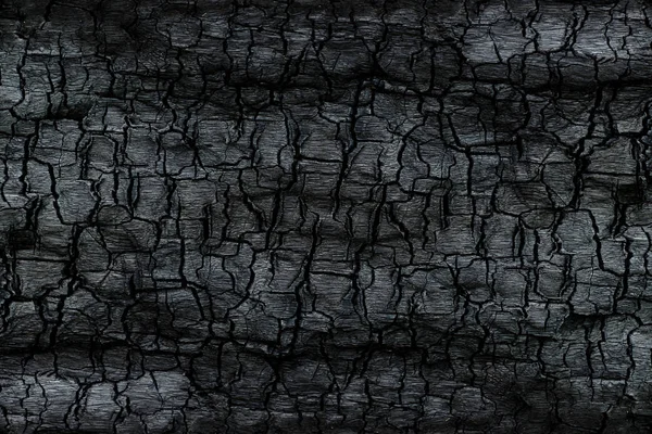 Kömürün yüzeyindeki detaylar.