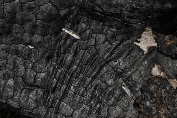 Dettagli sulla superficie del carbone. — Foto Stock