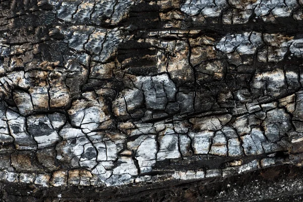 Деталі на поверхні деревного вугілля . — стокове фото