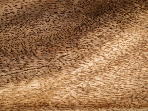 Bruin hout achtergrond. — Stockfoto