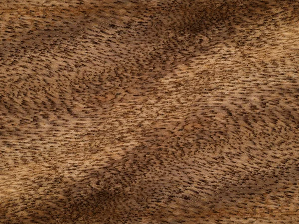 Brown wood background. — Stock Photo, Image