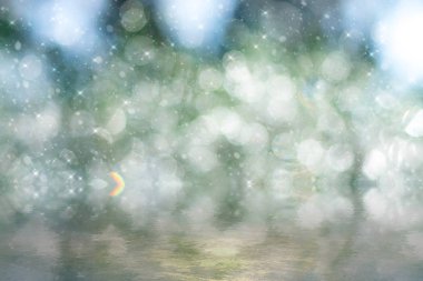 waterdrop çam yaprakları üzerinde bokeh