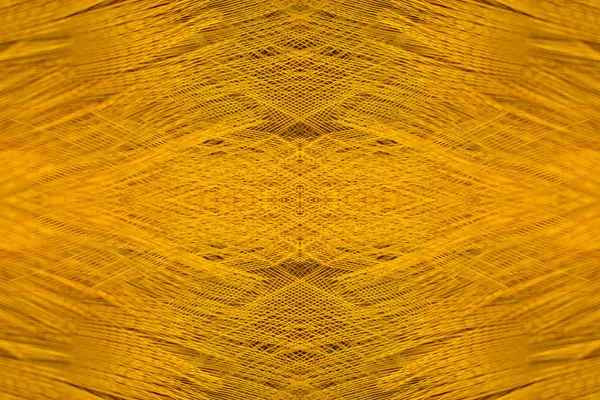 Detailní záběr pírko Zlatý Bažant. — Stock fotografie