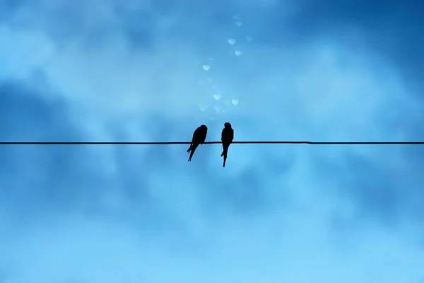 Silhouettes of minimal bird on power lines. — Stock Photo, Image