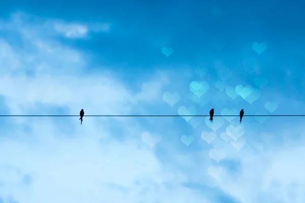 Silhouetten van minimale vogels op hoogspanningslijnen. — Stockfoto