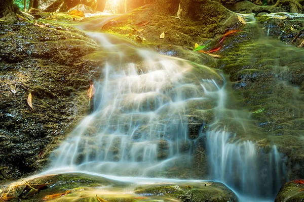 Pequena cachoeira na floresta. — Fotografia de Stock