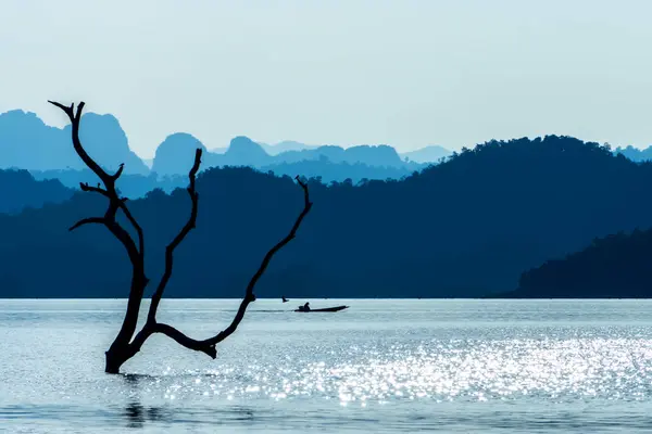 Rami nel lago con montagna blu . — Foto Stock