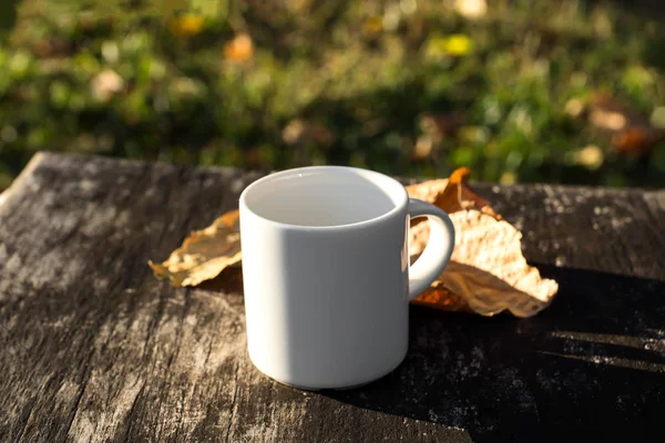 在清晨的时光白色咖啡杯 — 图库照片