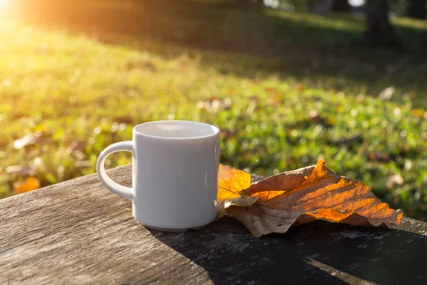 Tazza di caffè bianco al mattino — Foto Stock