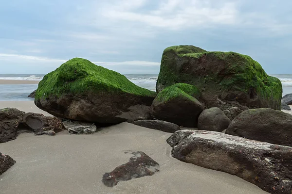 在海边岩石上的绿色藻类. — 图库照片