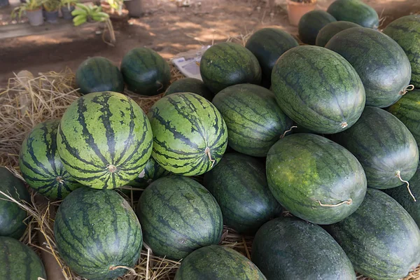 在农村市场的西瓜. — 图库照片