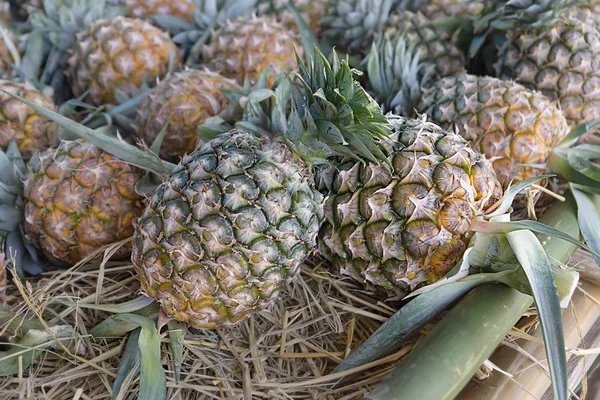 Fresh pineapple in the countryside market. — Stock Photo, Image