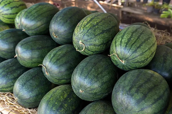 Melancia no mercado rural . — Fotografia de Stock