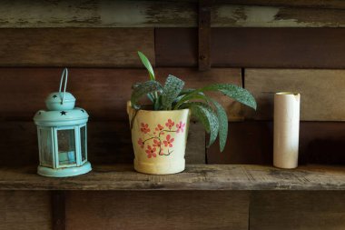 Ağaç dekorasyon için tencere.