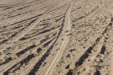 Kum üzerinde tekerlek işaretleri