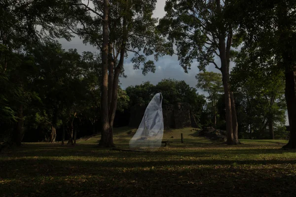 Lage sleutel image een vervaging witte spook onder een grote boom in oude fores — Stockfoto