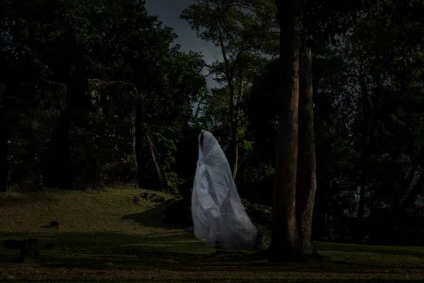 Image basse clé un fantôme blanc flou sous un grand arbre dans les fores antiques — Photo