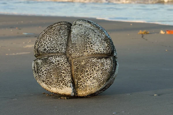 Basura en la playa — Foto de Stock