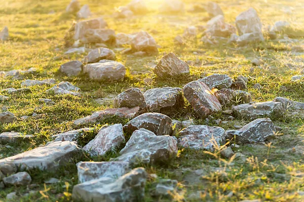 Skály na trávě se slunečním — Stock fotografie