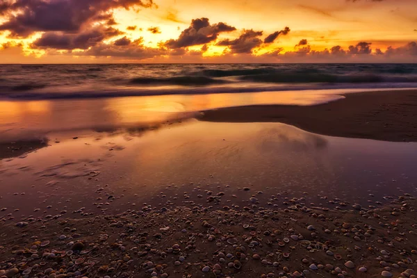 Cielo alba sulla spiaggia . — Foto Stock