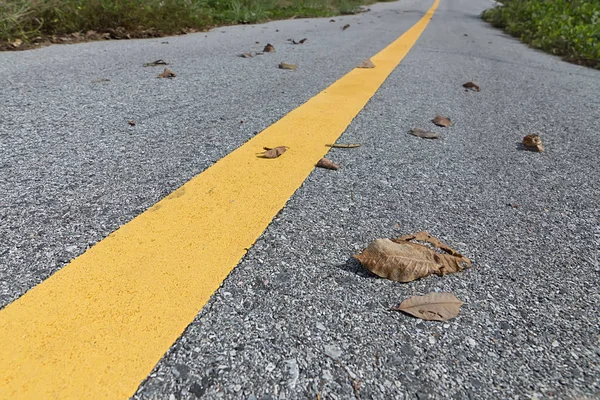 Lignes de circulation jaunes avec des feuilles sèches sur le sol . — Photo