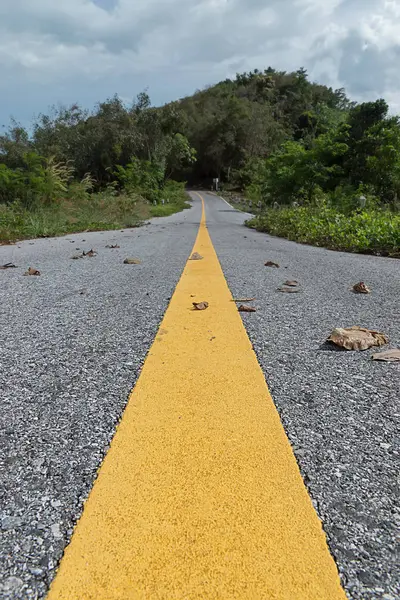 Linhas de tráfego amarelas com folha seca no chão . — Fotografia de Stock
