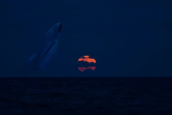 Červený měsíc v noci modrá obloha. — Stock fotografie