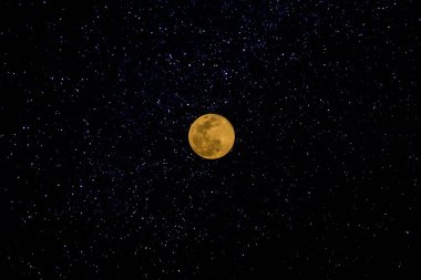 Mikro ay gece dolunay.