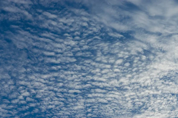 Branco de nuvem cirrocumulus no céu azul . — Fotografia de Stock