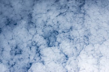 Beyaz bir mavi gökyüzünde cirrocumulus bulut.