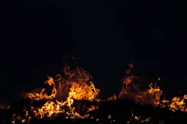 El movimiento de las llamas en la oscuridad —  Fotos de Stock