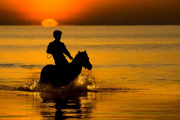 Sombra abstrata de equestre — Fotografia de Stock