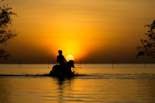 Silhouette astratta di equestre al mattino . — Foto Stock
