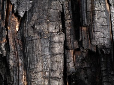 Kömürün yüzeyindeki detaylar.