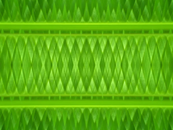 Gröna linjen bakgrund av bananblad. — Stockfoto
