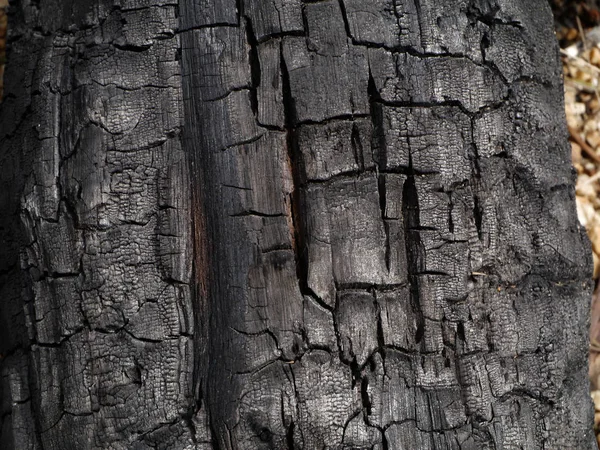 Szczegóły dotyczące powierzchni węgla drzewnego. — Zdjęcie stockowe