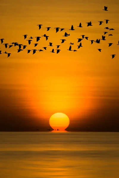 Grande nascer do sol na hora de ouro no lago . — Fotografia de Stock