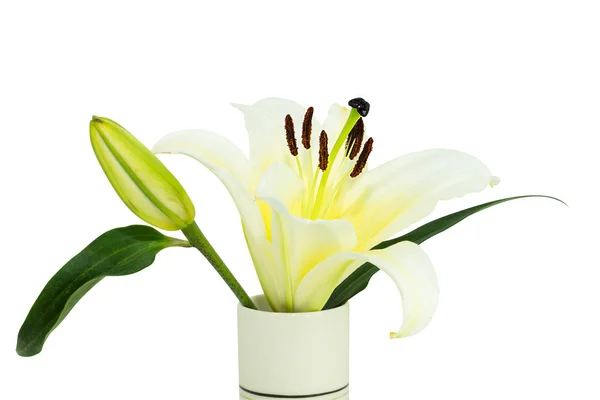 Vita liljor i glas — Stockfoto