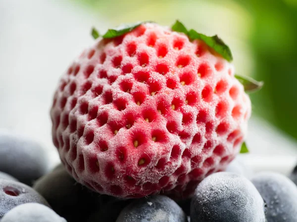 Congélation des fraises et bleuets — Photo