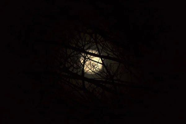 Night sky and the moon. — Stock Photo, Image